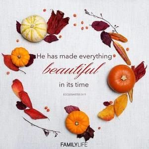 Meet your Posher, Ruth